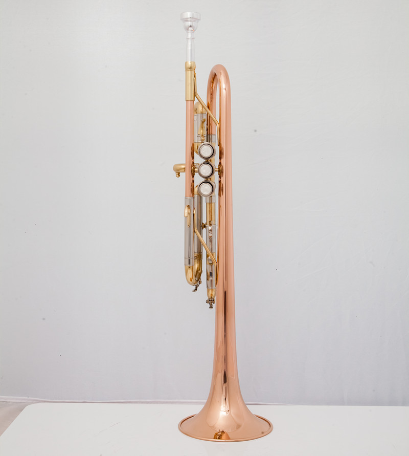 Professional C Trumpet  Music  - огляд і ціна Musical Instrument Bugle
